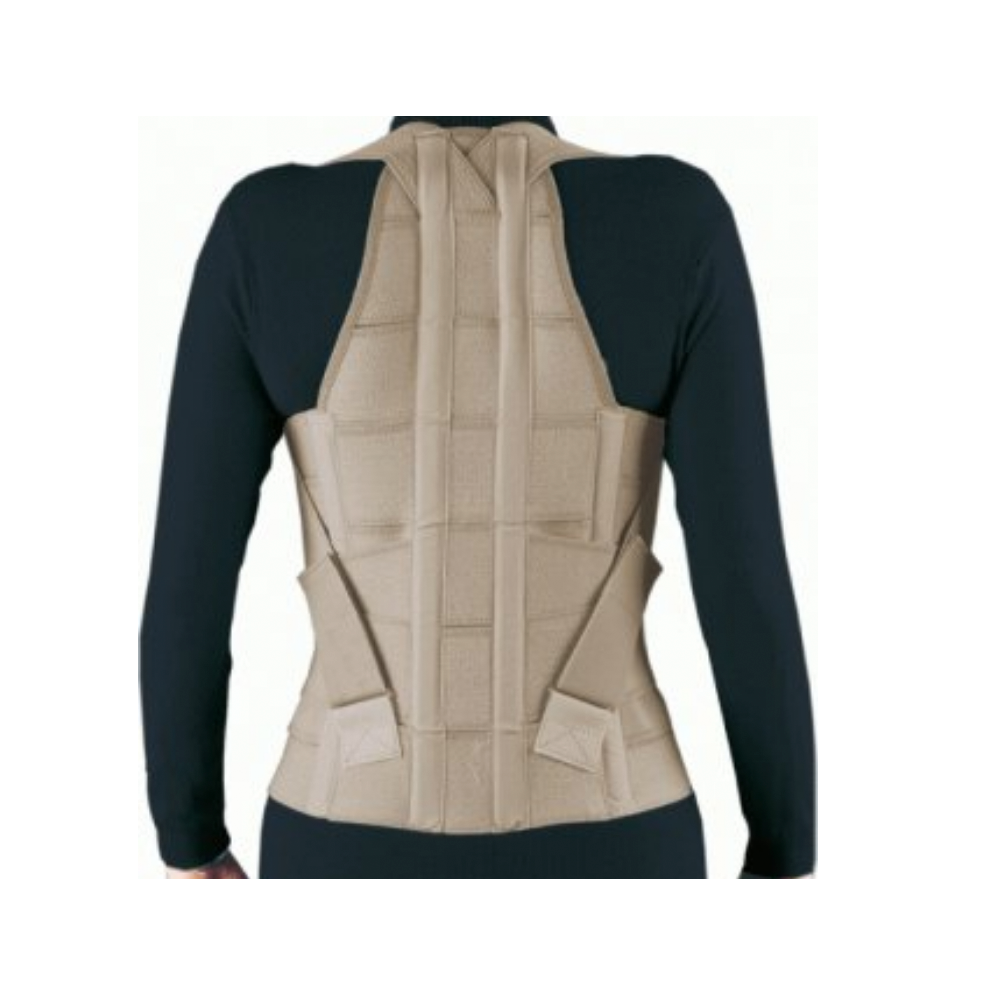 Espaldillera Dorso Lumbar CC 614 - Blunding